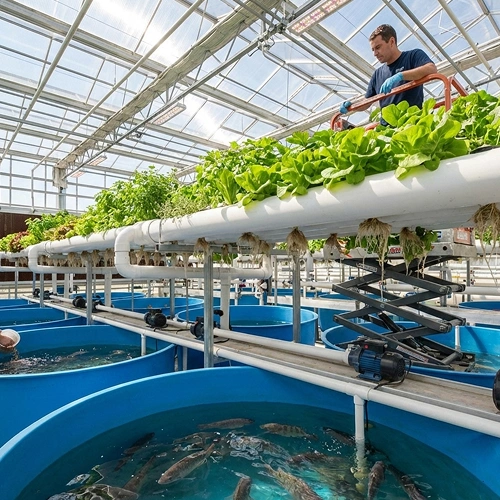 aquaculture,-hydroponics-&-modern-agriculture-image
