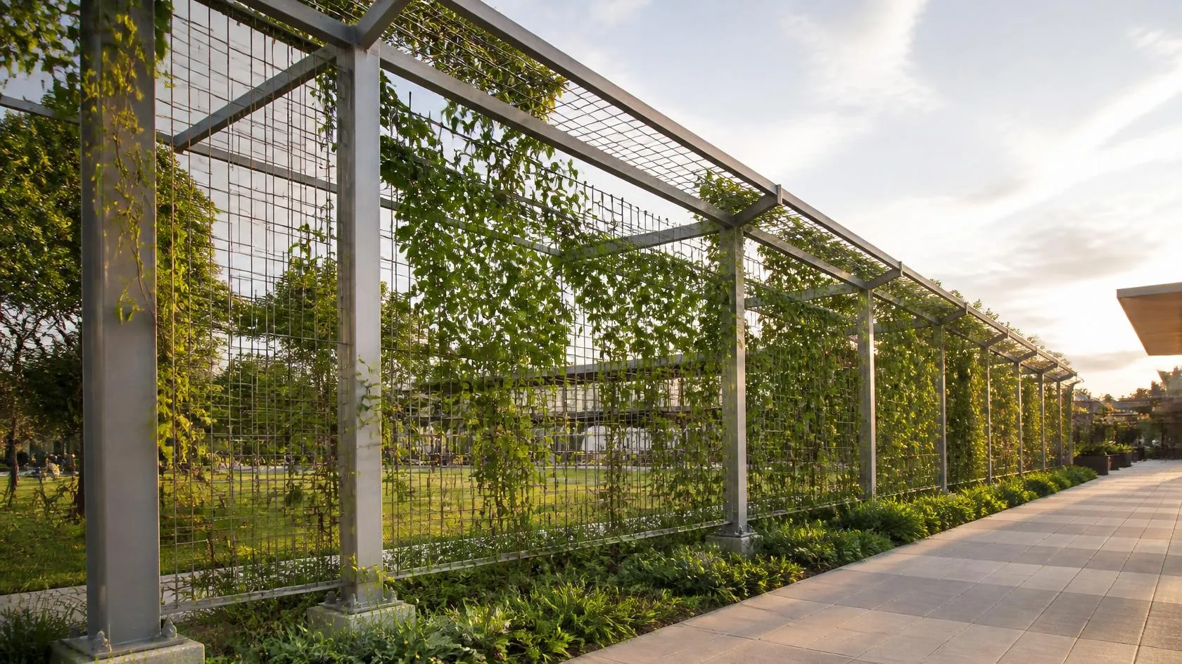 Steel Trellises
